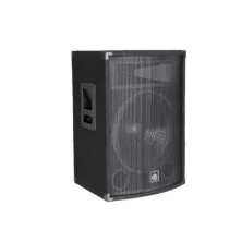Dibeisi DBS-4315 Επαγγελματικό Ηχείο 15" 300 Watts