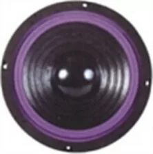 MEΓΑΦ.8Ω 300Ζ 10  SSW-810