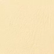 GBC CE040065 LeatherGrain Binding Cover - 250gsm, A4, Ivory (Box Of 100) 2 GBC CE040065 LeatherGrain Binding Cover - 250gsm, A4, Ivory (Box Of 100) 1