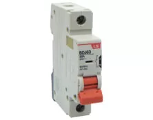 ΔΙΑΚΟΠΤΗΣ ΡΑΓΑΣ 1P 40A 240VAC BDJ63 LG    12 TEMAXIA