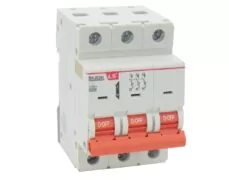 ΑΣΦΑΛΕΙΑ ΡΑΓΑΣ 3P D 40A 6kA 415VAC BKJ63N LG 1