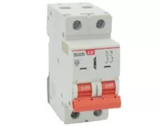 ΑΣΦΑΛΕΙΑ ΡΑΓΑΣ 2P C 2A 6kA 415VAC BKJ63N LG