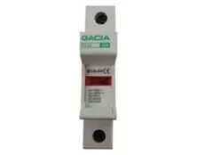 ΑΣΦΑΛΕΙΟΘΗΚΗ ΡΑΓΑΣ 1P FS63-1 GAC