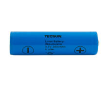 Tecsun 18650 Li-ion batteries