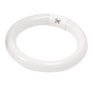 CT-200/BULB Λάμπα Μεγεθυντικού Φακού 22W 1