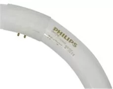 ΛΑΜΠΑ ΦΘΟΡΙΣΜΟΥ ΚΥΚΛΙΚΗ T9 Φ303mm 32W 2310LM 6500K MASTER 865 PHILIPS 1 ΛΑΜΠΑ ΦΘΟΡΙΣΜΟΥ ΚΥΚΛΙΚΗ T9 Φ303mm 32W 2310LM 6500K MASTER 865 PHILIPS