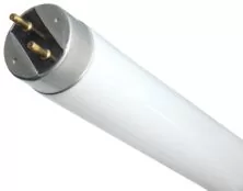 ΛΑΜΠΑ ΤΡΙΦΩΣΦΟΡΙΚΗ T8 1500mm 58W 4900LM 6500K DAY LIGHT SPL