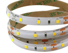 ΤΑΙΝΙΑ LED 12V/4.8W ΕΞΩΤΕΡΙΚΟΥ ΧΩΡΟΥ IP65 60L 2835 6400K ΣΙΛΙΚΟΝΗΣ ILL