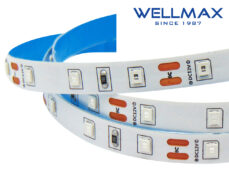 ΤΑΙΝΙΑ LED 12V/5W ΕΣΩΤΕΡΙΚΟΥ ΧΩΡΟΥ IP20 60L 2835 ΜΠΛΕWELLMAX 1 ΤΑΙΝΙΑ LED 12V/5W ΕΣΩΤΕΡΙΚΟΥ ΧΩΡΟΥ IP20 60L 2835 ΜΠΛΕWELLMAX