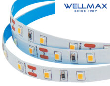 ΤΑΙΝΙΑ LED 12V/5W ΕΣΩΤΕΡΙΚΟΥ ΧΩΡΟΥ IP20 60L 2835 3000KWELLMAX