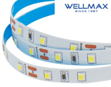 ΤΑΙΝΙΑ LED 12V/5W ΕΣΩΤΕΡΙΚΟΥ ΧΩΡΟΥ IP20 60L 2835 6500KWELLMAX