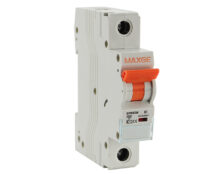 ΑΣΦΑΛΕΙΑ ΡΑΓΑΣ 1P B 1A 6kA 230/400VAC EPB-63M MAXGE