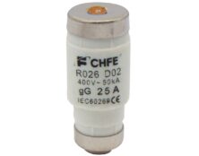 ΑΣΦΑΛΕΙΑ ΦΥΣΙΓΓΙΟ NEOZED R026-D02 E18 25A CHF