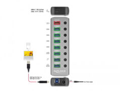 DELOCK USB hub 63264 με διακόπτες, 9x θυρών, 5Gbps, 12V/2.25A PD, γκρι 2