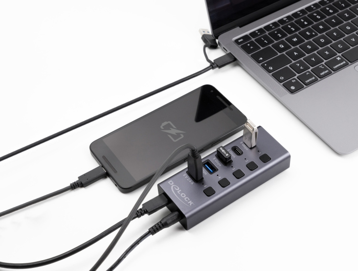 DELOCK USB hub 64248 με διακόπτες, 5x θυρών, 5Gbps, USB/USB-C σύνδεση, γκρι 4 DELOCK USB hub 64248 με διακόπτες, 5x θυρών, 5Gbps, USB/USB-C σύνδεση, γκρι - Image 2