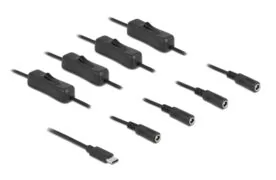 DELOCK καλώδιο USB Type-C σε 4x DC 5.5 x 2.1mm 86802, 1m, μαύρο 2
