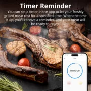 SONOFF smart θερμόμετρο barbeque BMT01 με 2x αισθητήρες, έως 300 °C, μαύρο 9