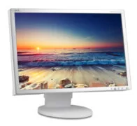 NEC used οθόνη EA221WM LCD, 22" 1680x1050, VGA/DVI, Grade B