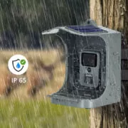 SUNTEK smart ηλιακή κάμερα κυνηγού BC-303W, PIR, WiFi, 24MP/1265p, SD, IP65 3