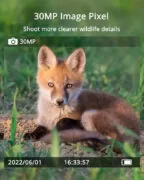 SUNTEK smart ηλιακή κάμερα κυνηγού Mini 900 Pro, PIR, 4G, 30MP/2K, SD, IP65 3