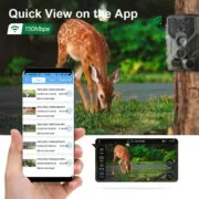SUNTEK κάμερα για κυνηγούς WIFI830, PIR, 24MP, 1296p, WiFi, BT, IP66 2