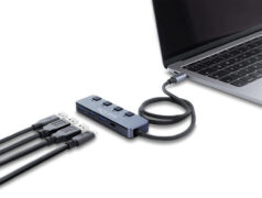 DELOCK USB-C hub 64384 με διακόπτες, 4x θυρών, 10Gbps, USB-C σύνδεση, γκρι 2